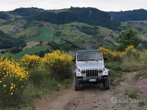 Occasion Jeep Wrangler