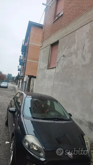 Usata Fiat Punto
