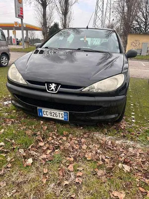 Usata Peugeot 206