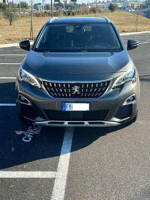 Brugt Peugeot 3008