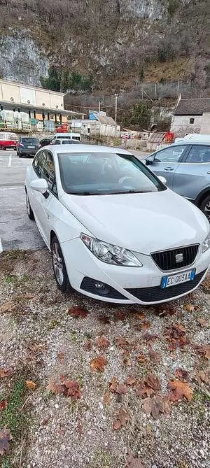 Brugt Seat Ibiza