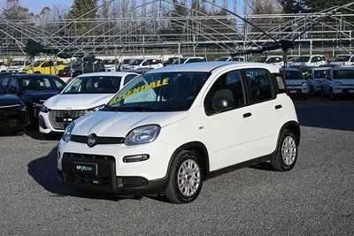 Usata Fiat Panda S 70 CV (51 kW) 2023 Bianco Utilitaria