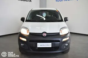 Usata Fiat Panda 4x4