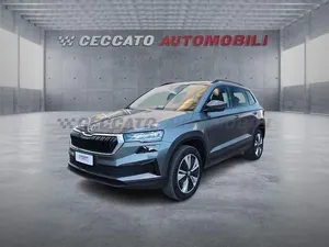 Usata Skoda Karoq