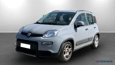 Usata Fiat Panda City Life 70 CV (51 kW) 2023 Grigio Utilitaria