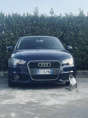 Usata Audi A1