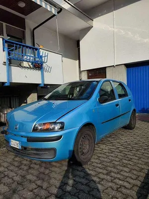Brugt Fiat Punto