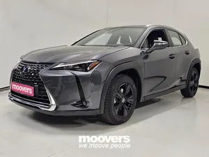 Usata Lexus UX