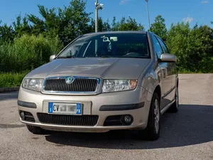 Usata Skoda Fabia