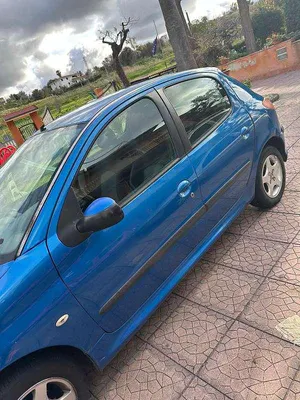 Begagnad Peugeot 206