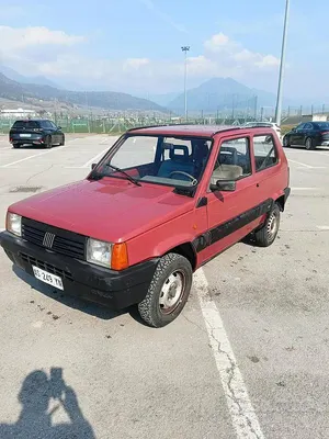 Usata Fiat Panda 4x4