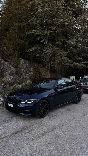 Usata BMW 330e