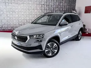Usata Skoda Karoq