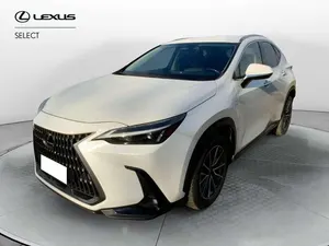 Usata Lexus NX300h
