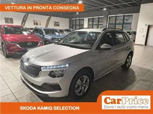 Begagnad Skoda Kamiq