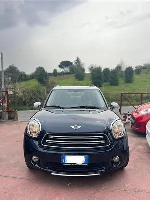 Usata Mini Park Lane Countryman