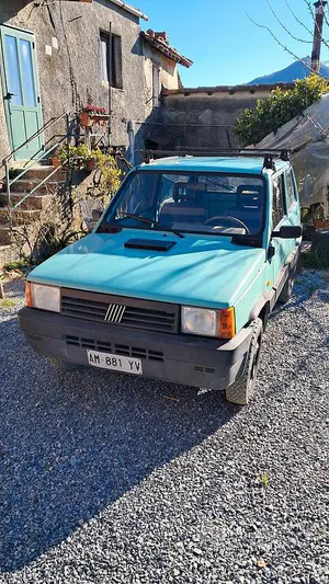 Usata Fiat Panda 4x4