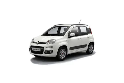 Usata Fiat Panda Easy 69 CV (50 kW) 2020 Bianco Utilitaria