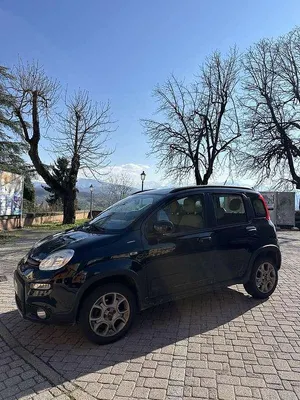 Usata Fiat Panda 4x4