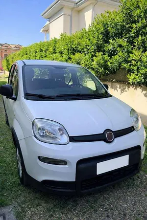Occasion Fiat Panda