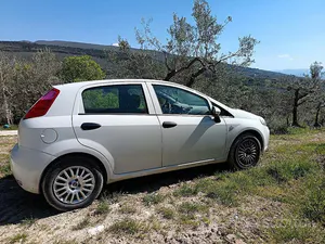 Usata Fiat Punto