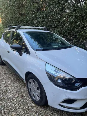 Usata Renault Clio
