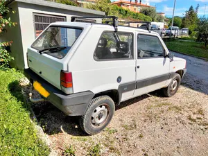 Usata Fiat Panda 4x4