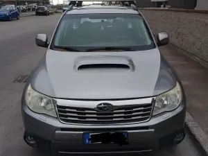 Usado Subaru Forester