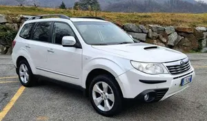 Usado Subaru Forester