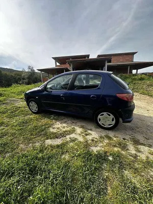Usata Peugeot 206