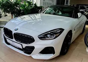 Usata BMW Z4