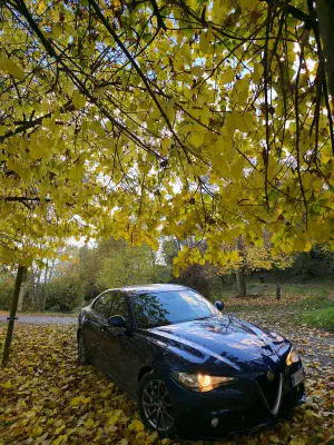 Usata Alfa Romeo Giulia