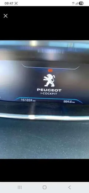 Usata Peugeot 3008