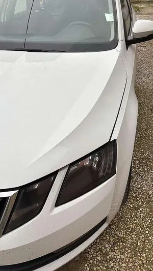 Begagnad Skoda Octavia