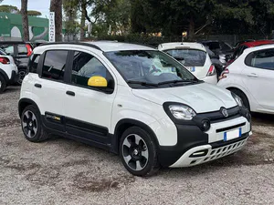 Usata Fiat Panda Cross