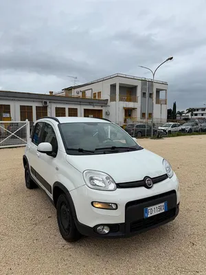Usata Fiat Panda 4x4