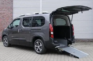 Usata Peugeot Rifter
