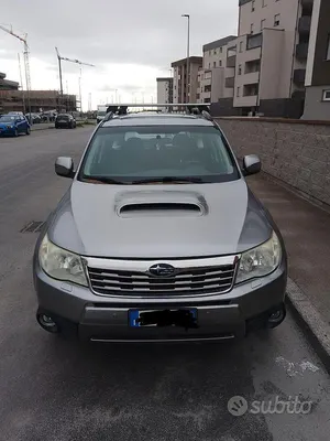 Usado Subaru Forester
