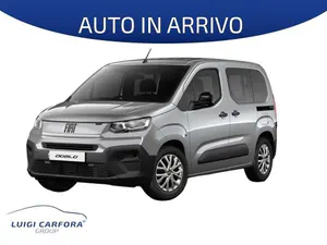 Usata Fiat Doblò