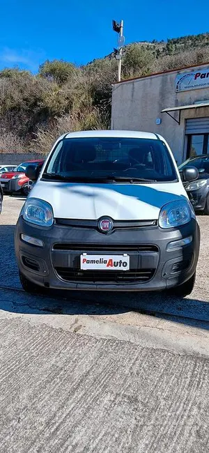 Usata Fiat Panda 4x4