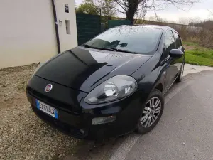Brugt Fiat Punto