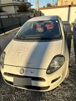 Usata Fiat Punto