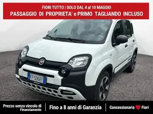 Usata Fiat Panda Cross