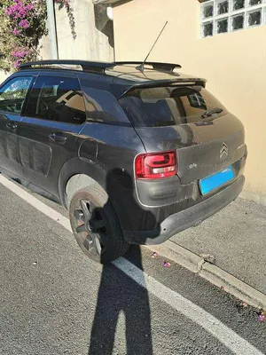 Usata Citroën C4 Cactus