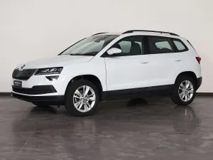 Usata Skoda Karoq