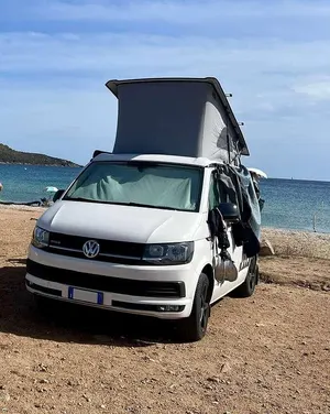 Usata VW California