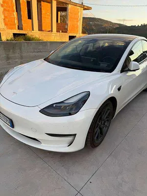 Usata Tesla Model 3