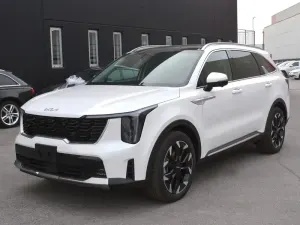 Usata Kia Sorento