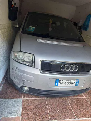 Usata Audi A2