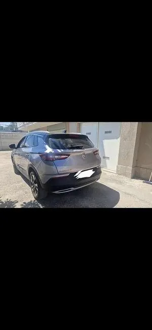 Usata Opel Grandland X